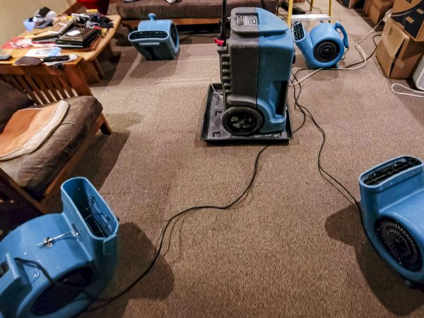 Cost of Flood Damage Recovery in Stafford