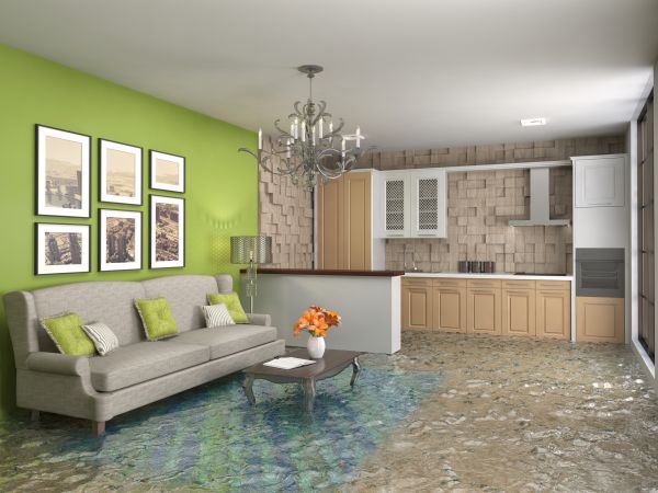 Cost of Wet Carpet Drying in Stafford