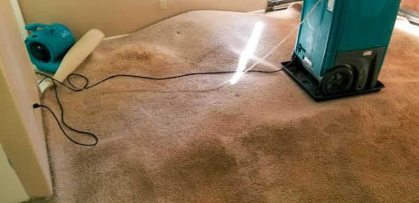 Cost of Flood Damage Cleanup in Stafford