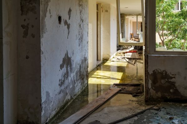 Cost of Water Removal Service in Stafford