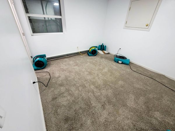 Cost of Flood Restoration Service in Stafford