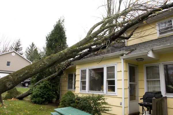 Cost of Hurricane Damage Repair in Stafford