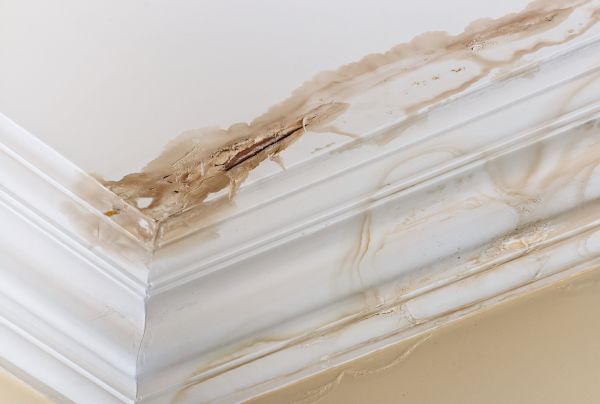 Cost of Water Damage Recovery in Stafford