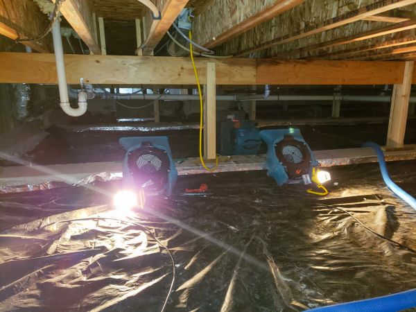 Cost of Crawlspace Water Removal in Stafford