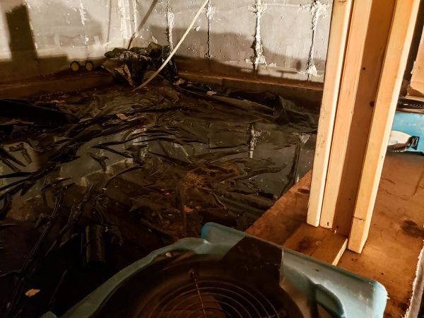 Cost of Crawlspace Water Cleanup in Stafford