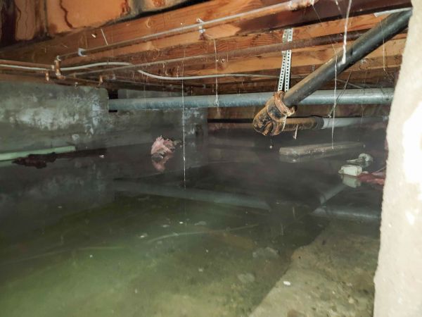 Cost of Crawlspace Water Restoration in Stafford